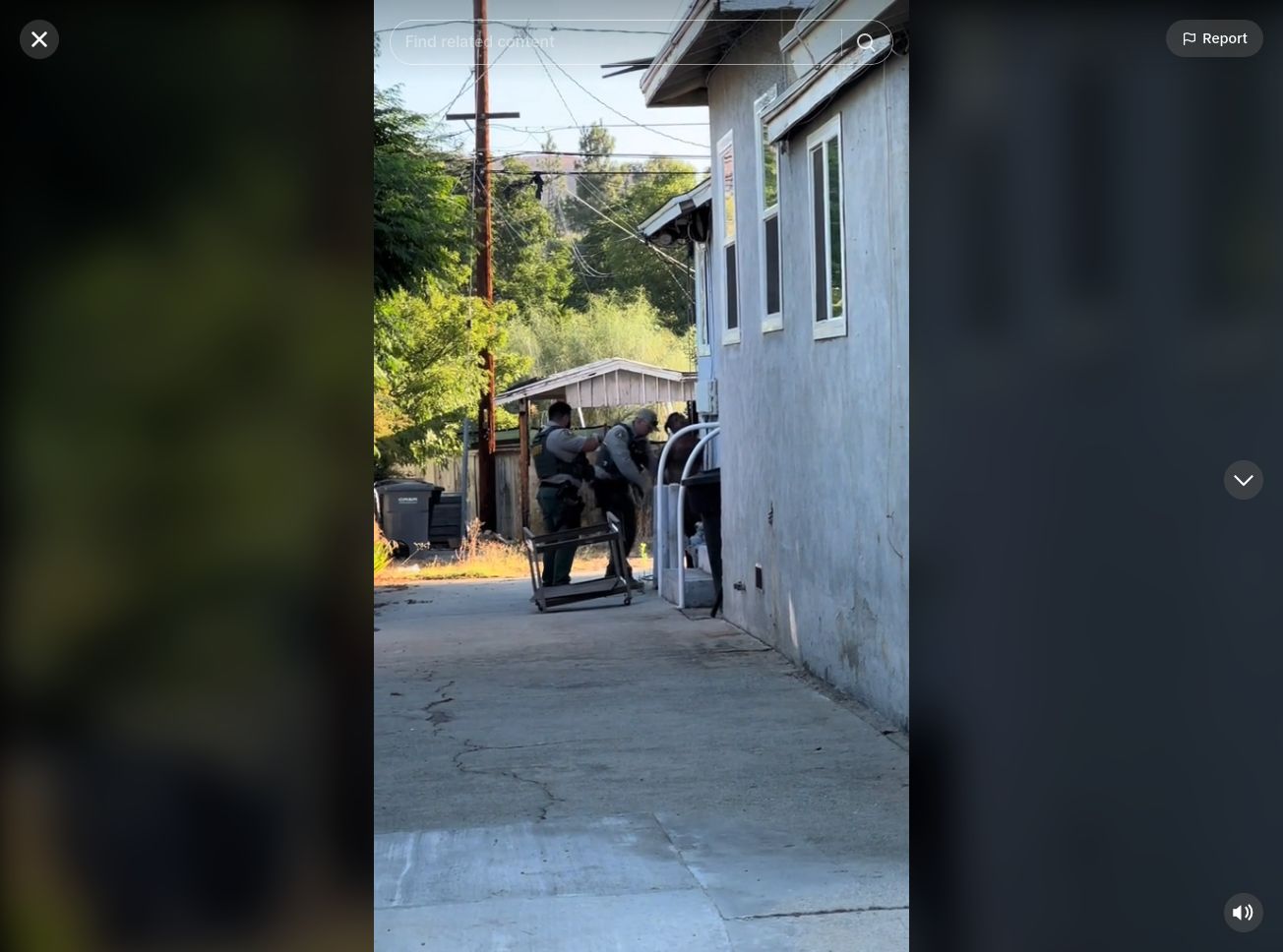 Kisah Ashly Guardino