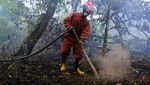 Aksi Relawan Greenpeace Padamkan Kebakaran Hutan dan Lahan di Kalbar