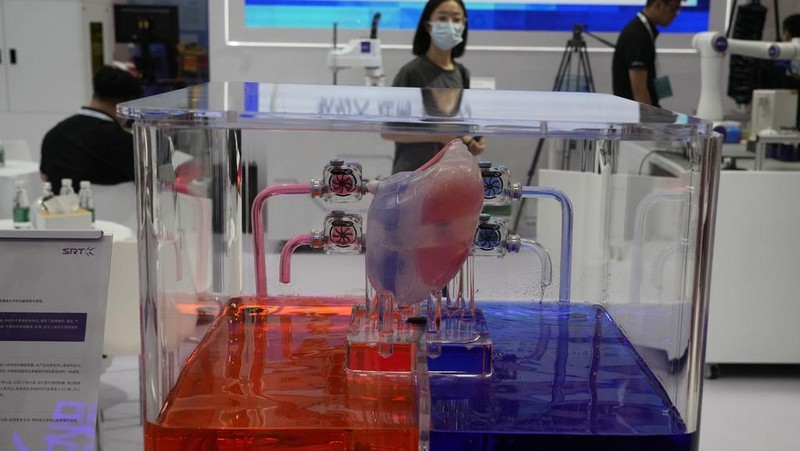 An artificial heart is displayed at the annual World Robot Conference at the Beijing Etrong International Exhibition and Convention Center on Wednesday, Aug. 16, 2023. (AP Photo/Ng Han Guan)