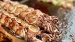 Puas Jajan! Bikin Laper Festival Hadirkan 60 Tenant Kuliner Enak