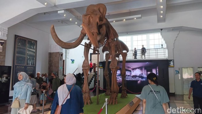 Museum Geologi.
