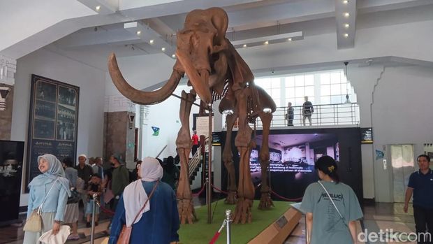 Museum Geologi.