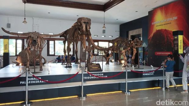 Museum Geologi.