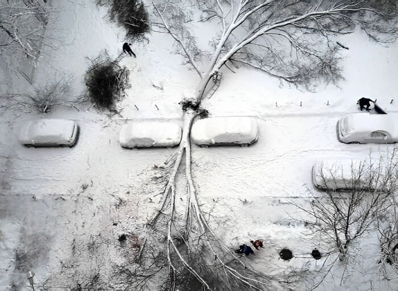 Orang-orang beruntung