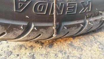Sungguh beruntung sehingga tidak perlu ke tambal ban. Foto: Bored Panda