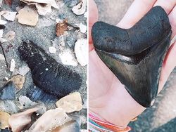 Orang-orang yang Dapat Keberuntungan Tanpa Disangka