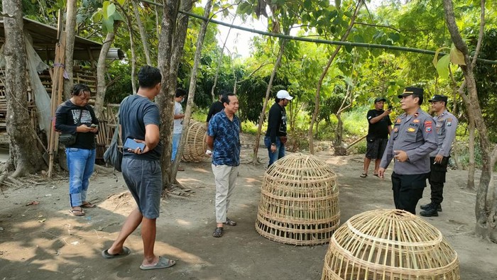 Polres Jombang berkomitmen memberantas perjudian sabung ayam tanpa pandang bulu