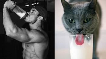 Gaya minum susu. (Foto: sadanduseless)  