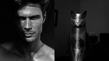 Foto hitam putih, keren si kucing kayanya ya. Setuju? (Foto: sadanduseless)  