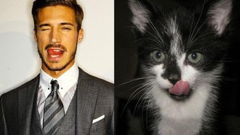 Foto melet-melet tetep ganteng, eh gemesin si kucingnya. (Foto: sadanduseless)  