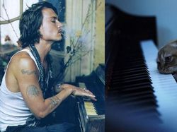 Pose Lucu Si Kucing Ikuti Gaya Model Pria