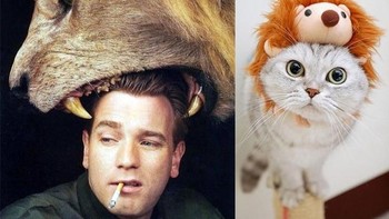 Si kucing lucu dengan topi singanya. (Foto: sadanduseless)