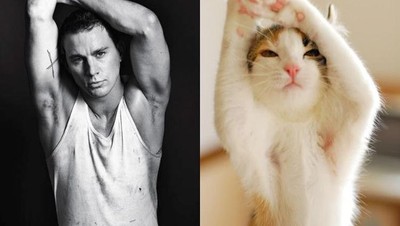 Pose Lucu Si Kucing Ikuti Gaya Model Pria