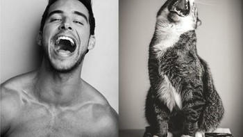 Siapa tawanya yang paling bikin menarik kamu nih? (Foto: sadanduseless)  