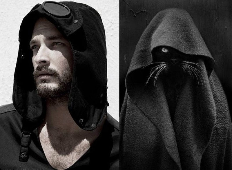 Pose Lucu Si Kucing Ikuti Gaya Model Pria