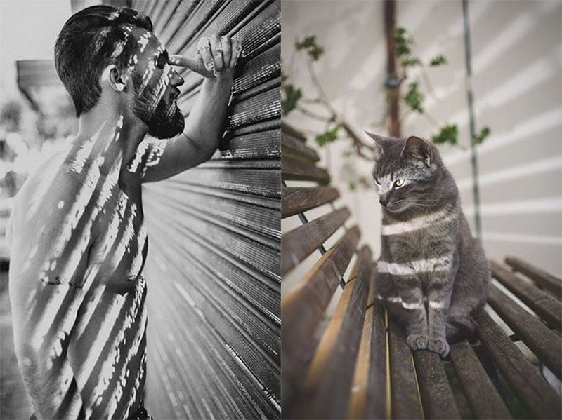 Pose Lucu Si Kucing Ikuti Gaya Model Pria