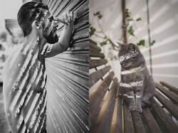 Pose Lucu Si Kucing Ikuti Gaya Model Pria