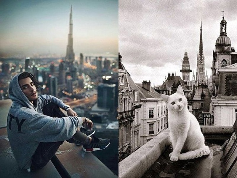 Pose Lucu Si Kucing Ikuti Gaya Model Pria