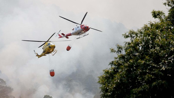 Potret Helikopter Bolak-balik Padamkan Api di Pulau Tenerife A firefighter plane discharges water over a forest fire in La Esperanza on the island of Tenerife, Canary Islands, Spain August 17, 2023. REUTERS/Borja Suarez