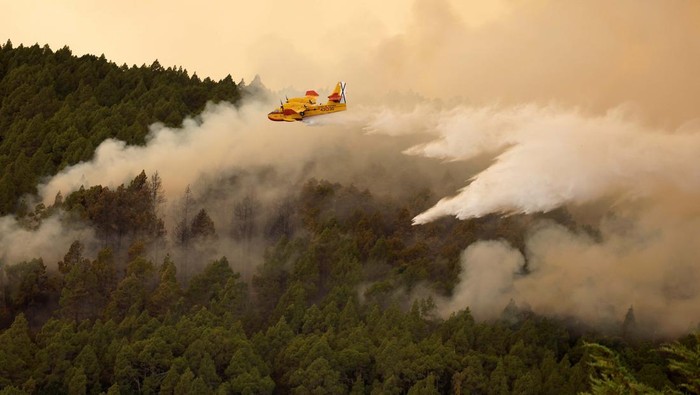 Potret Helikopter Bolak-balik Padamkan Api di Pulau Tenerife A firefighter plane discharges water over a forest fire in La Esperanza on the island of Tenerife, Canary Islands, Spain August 17, 2023. REUTERS/Borja Suarez