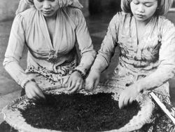 Potret Pedesaan Indonesia Tahun 1930-an Sampai 1950-an