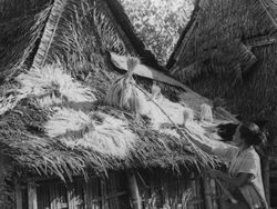 Potret Pedesaan Indonesia Tahun 1930-an Sampai 1950-an