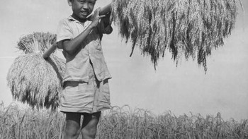 Seorang anak membawa hasil panen di tahun 1950-an. Foto: Getty Images