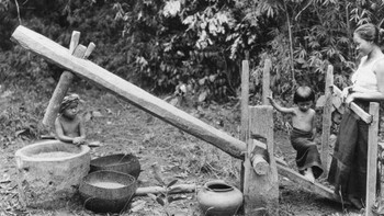 Sebuah alat sederhana untuk mengolah beras di pedesaan Jawa kala itu. Foto: Getty Images