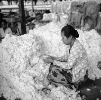 potret jadul indonesia desa
