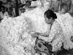 Potret Pedesaan Indonesia Tahun 1930-an Sampai 1950-an