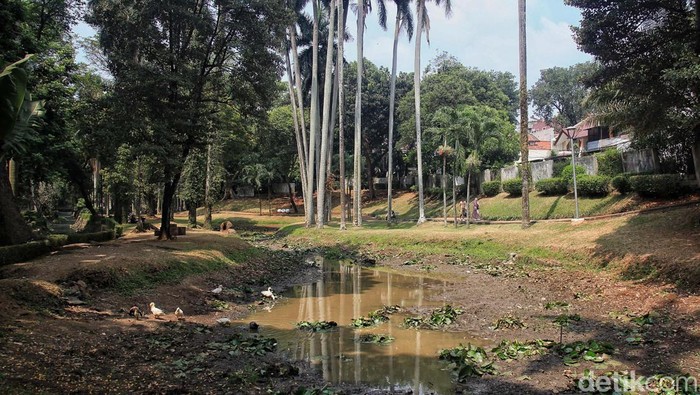 Musim kemarau membuat kolam ikan di Taman Langsat, Kebayoran Baru, Jakarta Selatan, mengering. Hanya tinggal sedikir air yang tersisa.