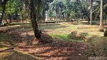 Terdampak Kemarau, Kolam Taman Langsat Jaksel Mengering