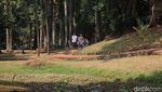 Terdampak Kemarau, Kolam Taman Langsat Jaksel Mengering