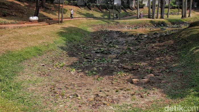 Musim kemarau membuat kolam ikan di Taman Langsat, Kebayoran Baru, Jakarta Selatan, mengering. Hanya tinggal sedikir air yang tersisa.