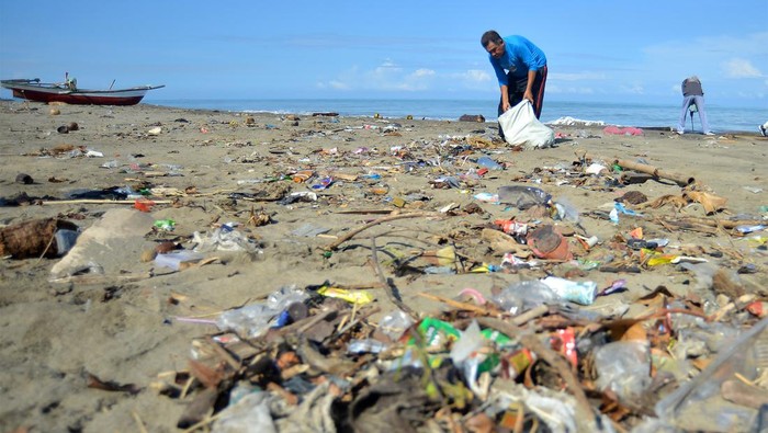 Relawan mengumpulkan sampah ke dalam karung di Pantai Padang, Sumatera Barat, Minggu (20/8/2023). Aksi bersih-bersih pantai diinisiasi World Cleanup Day Indonesia bersama sejumlah pihak itu sekaligus memeriahkan HUT ke-78 RI dan membangun semangat generasi muda untuk membersihkan dan memelihara keindahan alam Indonesia dari sampah.