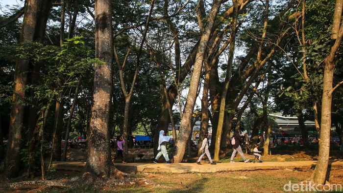Asyiknya Olahraga Sambil Menikmati Taman Asri di Tangsel Sejumlah warga melakukan aktivitas pagi di Taman Kota BSD 1, Tangerang Selatan, Minggu (20/8/2023). Warga memanfaatkan Taman Kota BSD 1 ini untuk berolahraga agar badan tetap sehat.