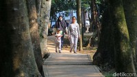 Pepohonan yang rindang membuat taman ini begitu asri. 