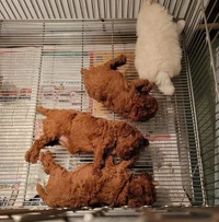 Foto mengecoh mata