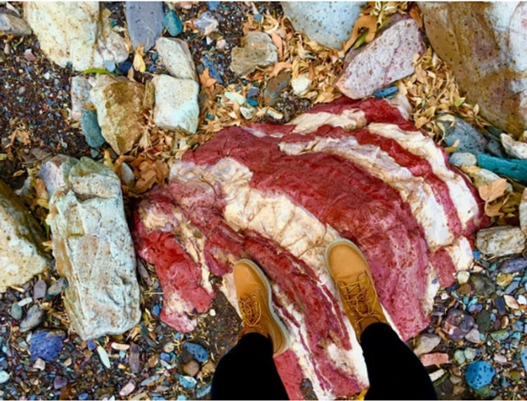Foto mengecoh mata