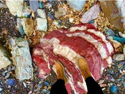 Foto Tipuan Mata, Asli Tanpa Editan