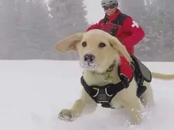 Foto Tipuan Mata, Asli Tanpa Editan