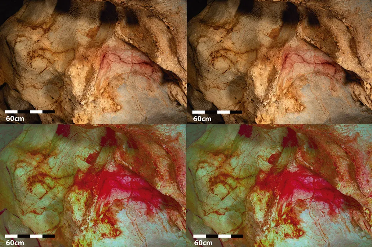 Dari hasil pencitraan, terungkap beberapa hewan yang kemungkinan baru, termasuk di antaranya dua kuda dan seekor auroch. Dari gambar itu, peneliti pun penasaran apakah mungkin kuda tersebut merupakan salah satu bentuk kuda yang baru dikenali.
