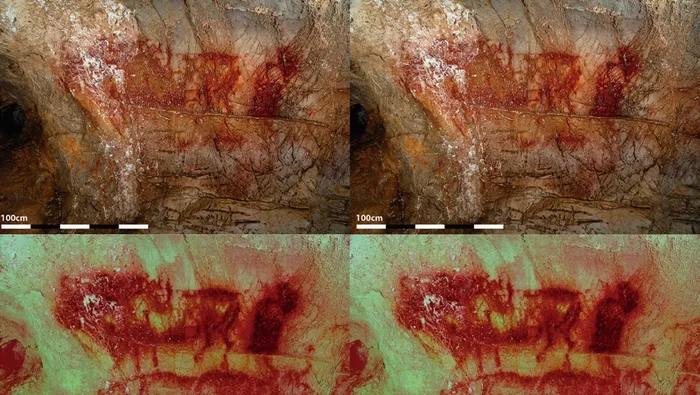 Dari hasil pencitraan, terungkap beberapa hewan yang kemungkinan baru, termasuk di antaranya dua kuda dan seekor auroch. Dari gambar itu, peneliti pun penasaran apakah mungkin kuda tersebut merupakan salah satu bentuk kuda yang baru dikenali.