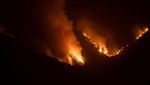 Hutan di Pulau Tenerife Spanyol Masih Membara