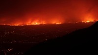 Kebakaran telah melanda hutan di Pulau Tenerife sejak Selasa (15/8/2023) malam. Hingga kini api belum juga padam. 
