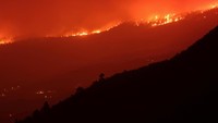 Api yang membakar hutan masih terlihat membesar.