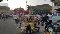 Warga Hegarmanah membuat harimau yang mengaum dalam karnaval.