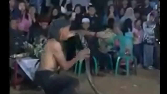 Pawang tewas dipatuk ular.