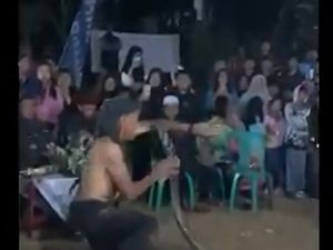 Atraksi Kobra yang Renggut 2 Nyawa Pawang di Jabar