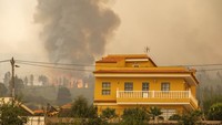 Kebakaran memaksa ribuan orang di pulau itu mengungsi. 